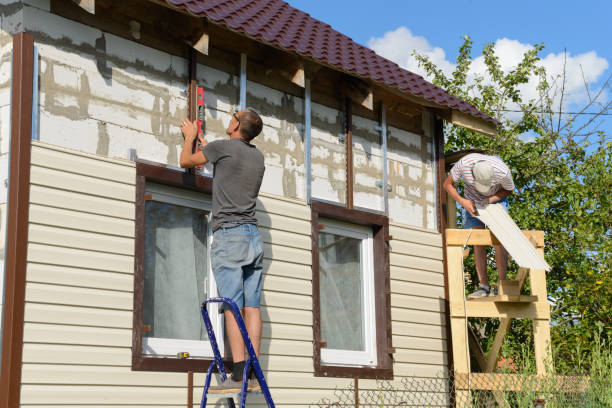 Best Custom Siding Design  in Somerton, AZ